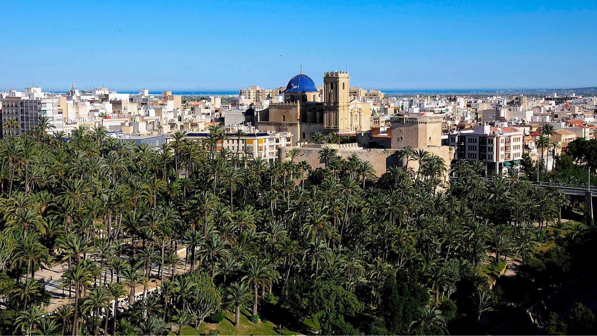 What to see in Elche in one day: explore this unforgettable destination!